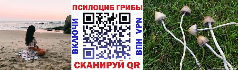Псилоцибиновые грибы MAGIC MUSHROOMS  мега ТОР  Сосенский 